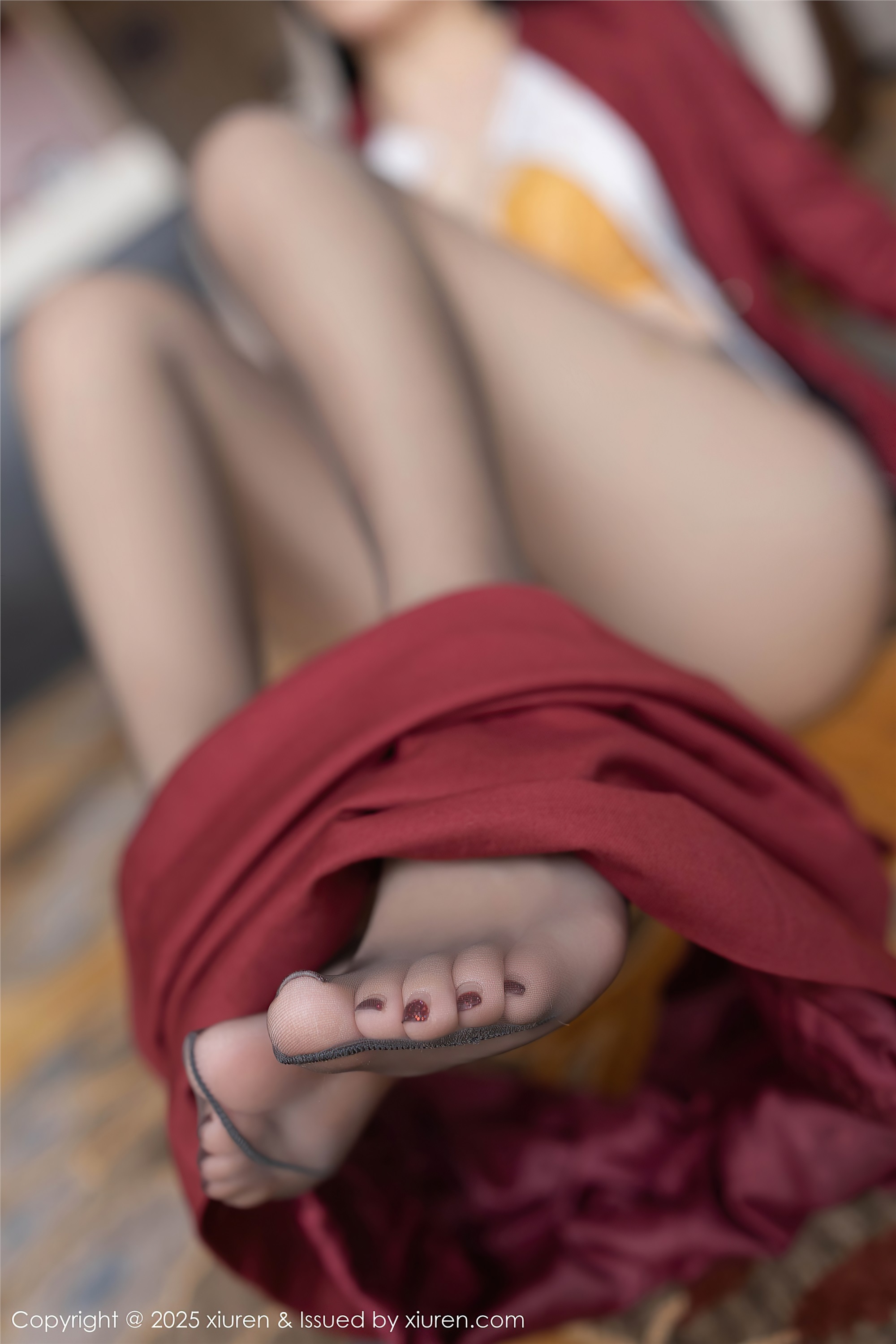 Xiuren秀人网 2025.05.27 NO.10333 安然anran